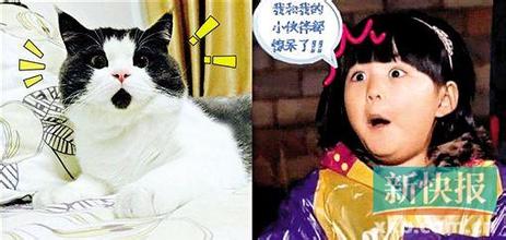 特容易读错的字,猜容易读错的字