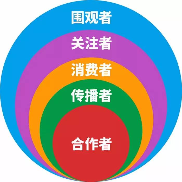 2020年小红书的发展,小红书如何成为爆款