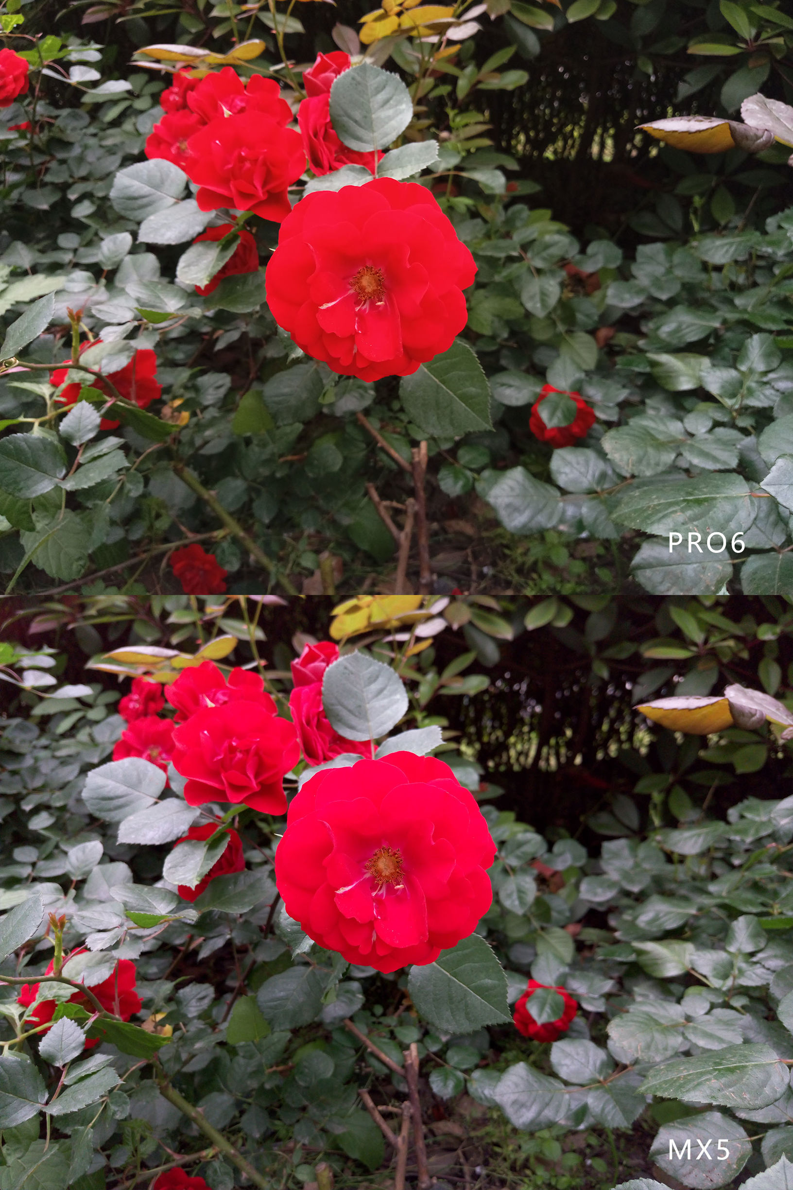 魅族pro6最新消息,魅族pro6评测能否满足消费者需求