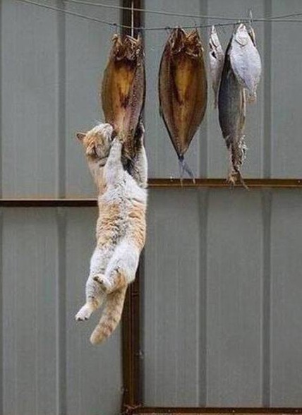 境外购物安全吗,海外购物危险