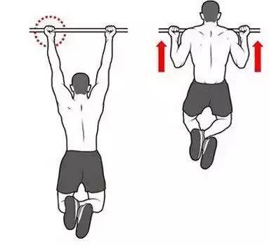 如何在短时间内练好肱二头肌,如何短时间内练出肱二头肌