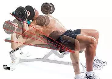 如何在短时间内练好肱二头肌,如何短时间内练出肱二头肌