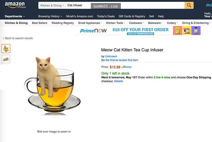 喵星人下楼梯魔性瞬间,被恶搞的喵星人