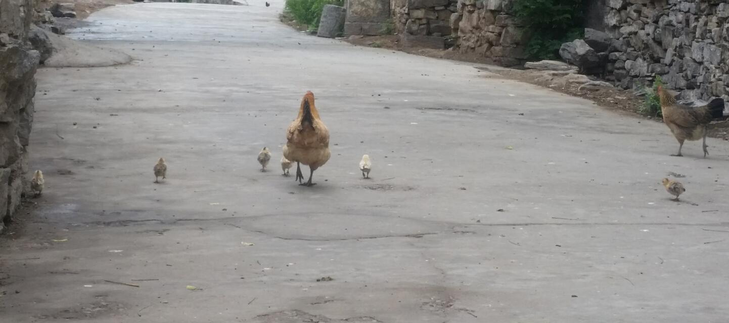 闺中待嫁的“石头村”：被揭“红盖头”，副省长看了都在赞