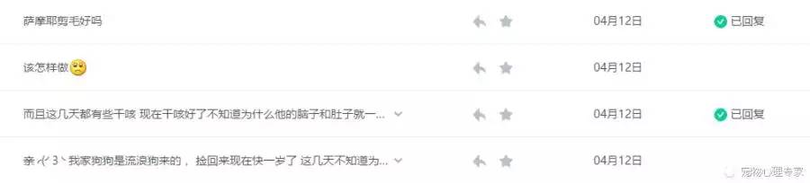 手把手教你给宠物洗澡,10年宠物医生