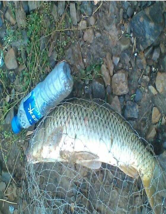 钓鱼的风向和风力,钓鱼风向原理