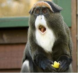 欧普照明商标侵权和解,欧普商标赔偿标准