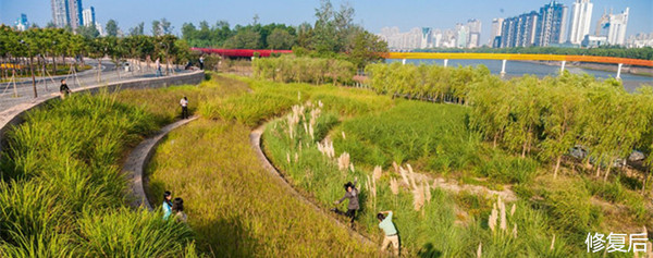 城市双修是什么,城市双修纪实