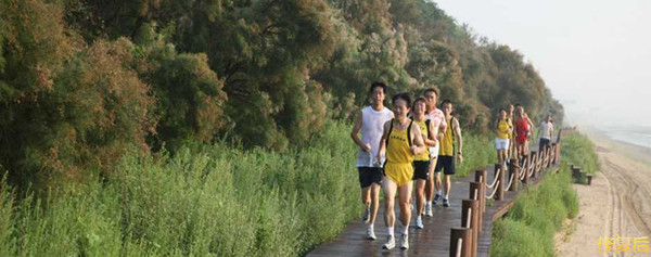 城市双修是什么,城市双修纪实