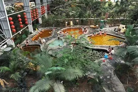 夏日乐悠最新视频,夏日乐悠游