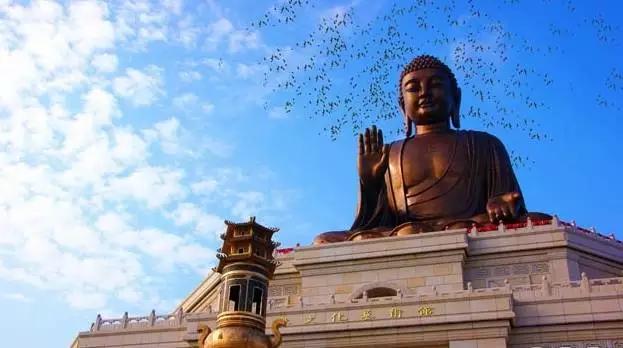 夏日乐悠最新视频,夏日乐悠游