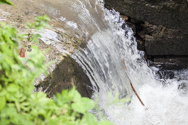 养在深闺里无人知,养在深闺无人识全文