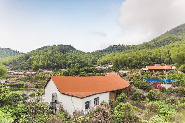 养在深闺里无人知,养在深闺无人识全文