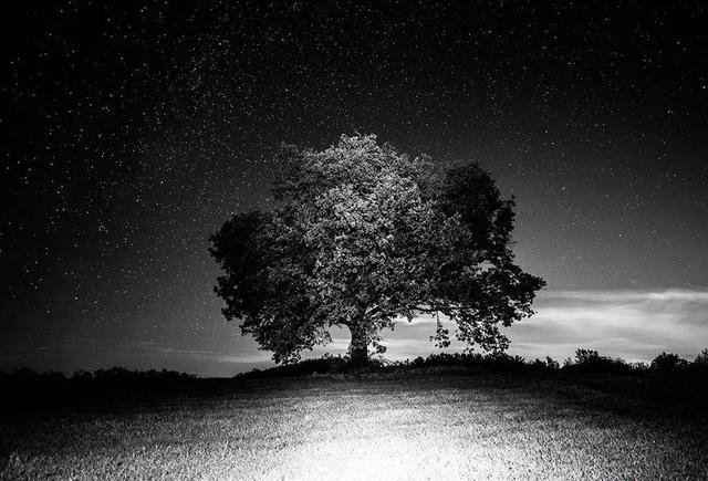 托尼高光时刻,托尼退役仪式