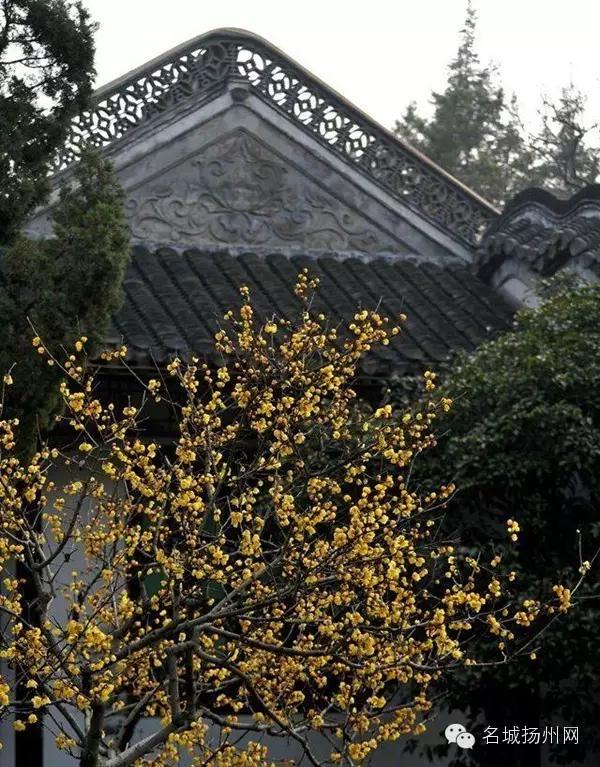 大事件！扬州要改名了！尼哪块不晓得？