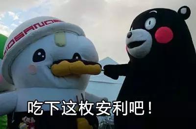 小嶋阳菜精致的脸蛋,小嶋阳菜巅峰颜值