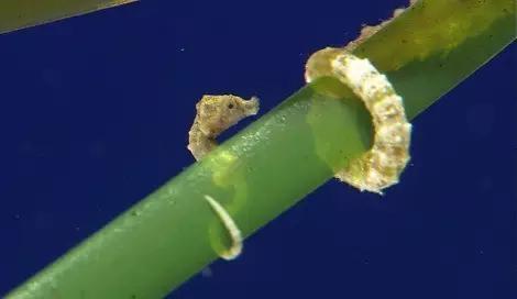 用我巨萌的强力剂,治愈你的宝宝萌化症