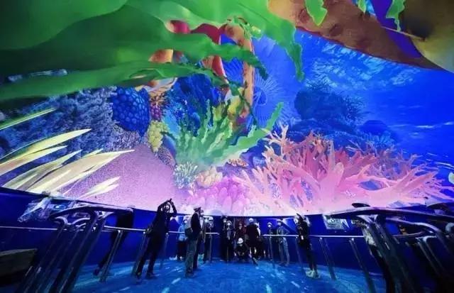 用我巨萌的强力剂,治愈你的宝宝萌化症