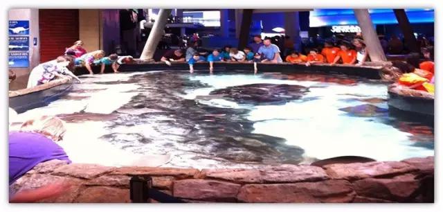 用我巨萌的强力剂,治愈你的宝宝萌化症