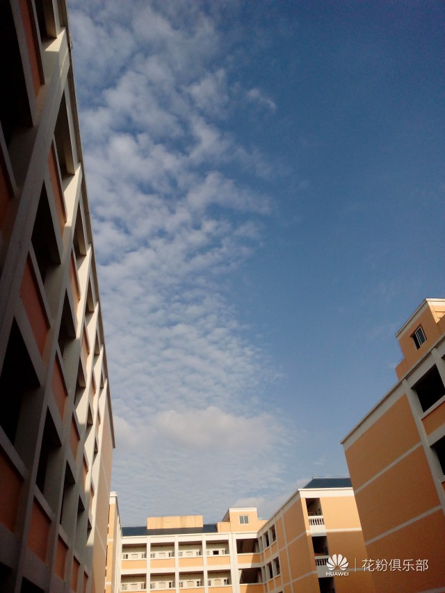 这就是3C畅玩版-手机中的白大胖小苹果