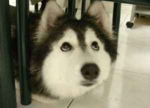 手机偷钱软件,手机哪些软件在偷钱