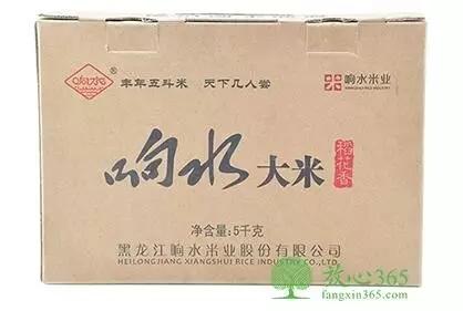 「世界防治肥胖日」即将来临,健康的警钟再次被敲响