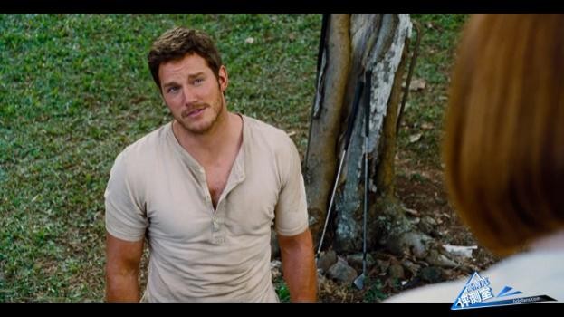 鍒涚淮鐩掑瓙q浜屼唬,鍒涚淮鐩掑瓙q+