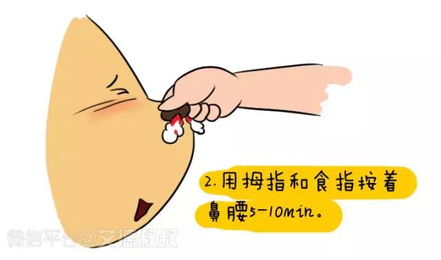 漫话安全051：小鼻子流血不要慌，3步骤快速止血！