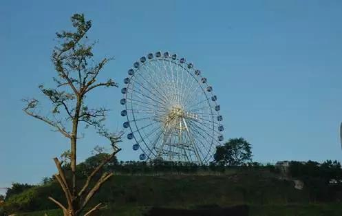 如果《欢乐颂》的故事发生在重庆，她们会怎么撕逼？