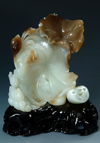 冰肌玉骨凌寒留香梅花图片,冰肌玉骨风姿绰约