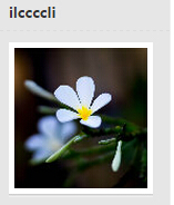 雷凌对比本田思域,为什么放弃逸动选帝豪