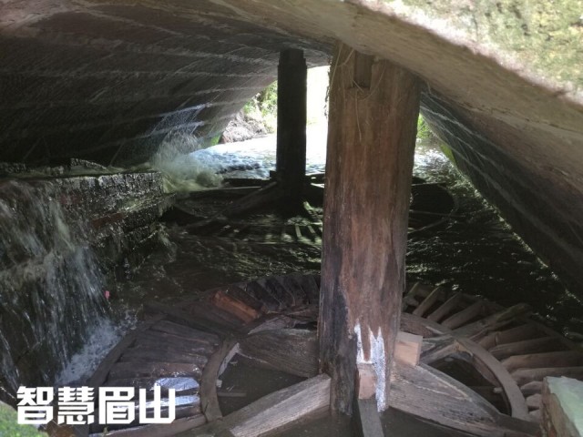 眉山百年古水碾“强悍”依旧，碾出米来“香得很”！