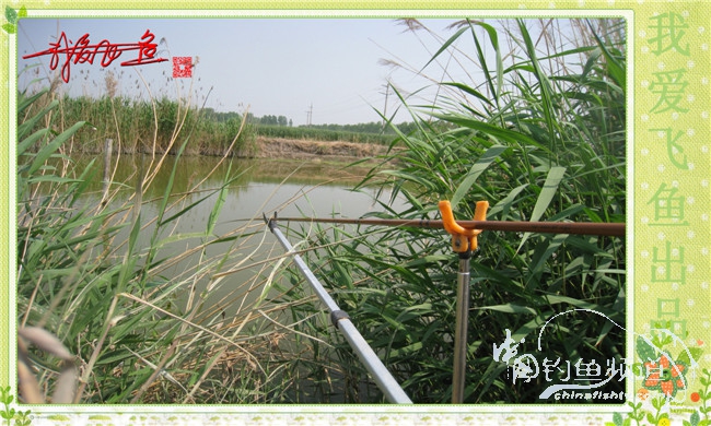 我爱飞鱼初探新钓点