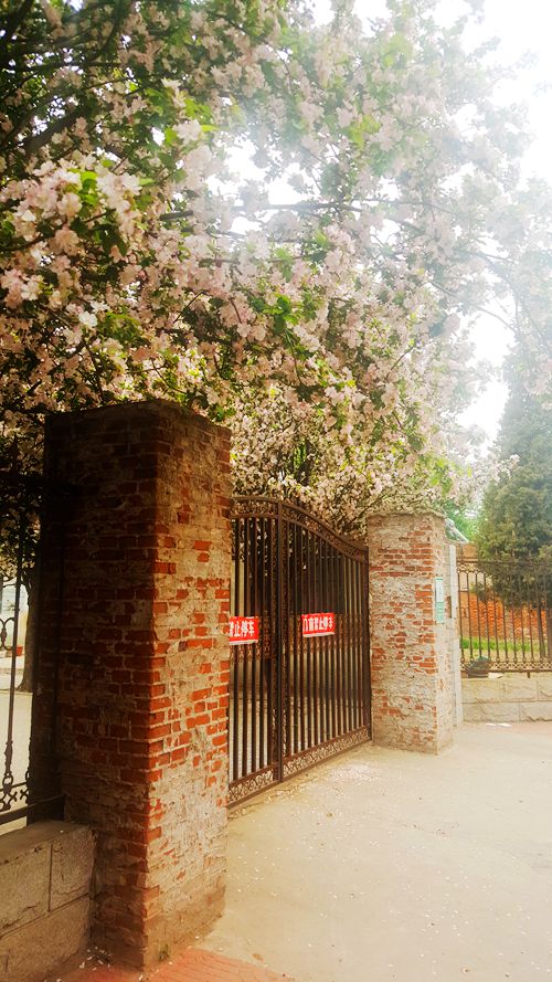 看乐亭小县城里的小市民,怎样装点生活