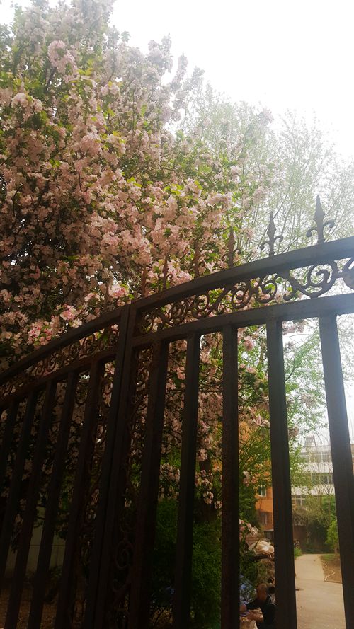 看乐亭小县城里的小市民,怎样装点生活