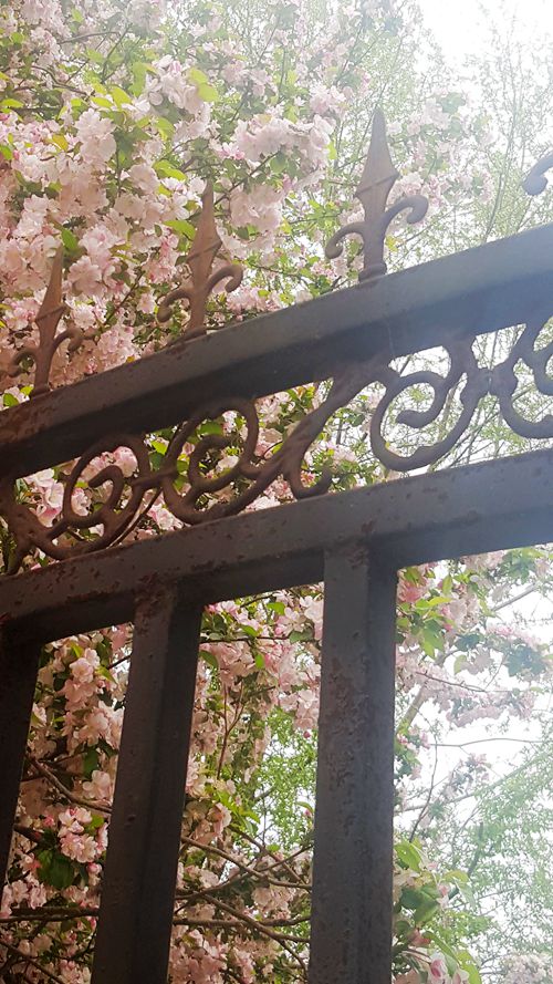 看乐亭小县城里的小市民,怎样装点生活