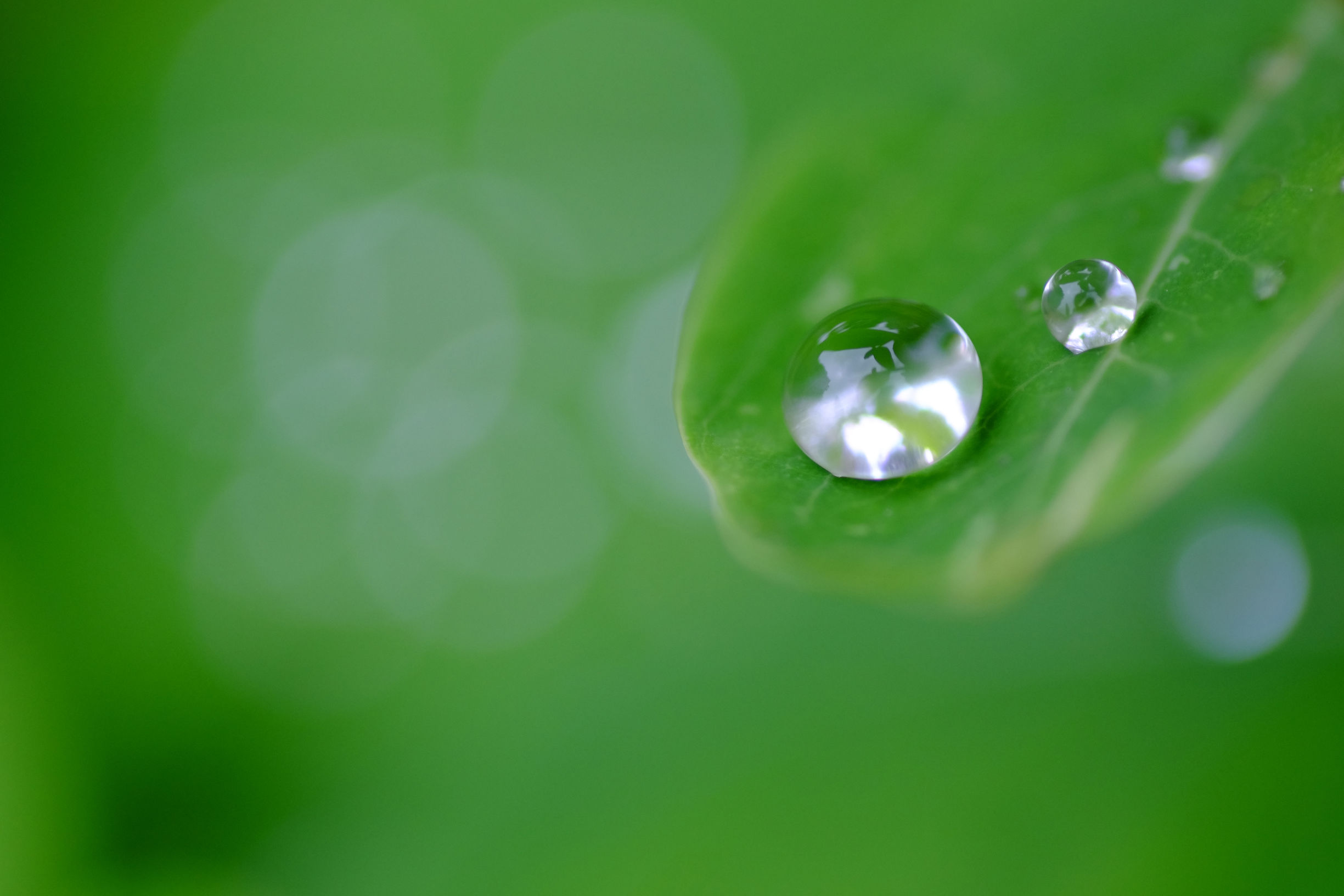 腾龙将要出的新镜头会是什么规格 (腾龙新旧镜头对比)