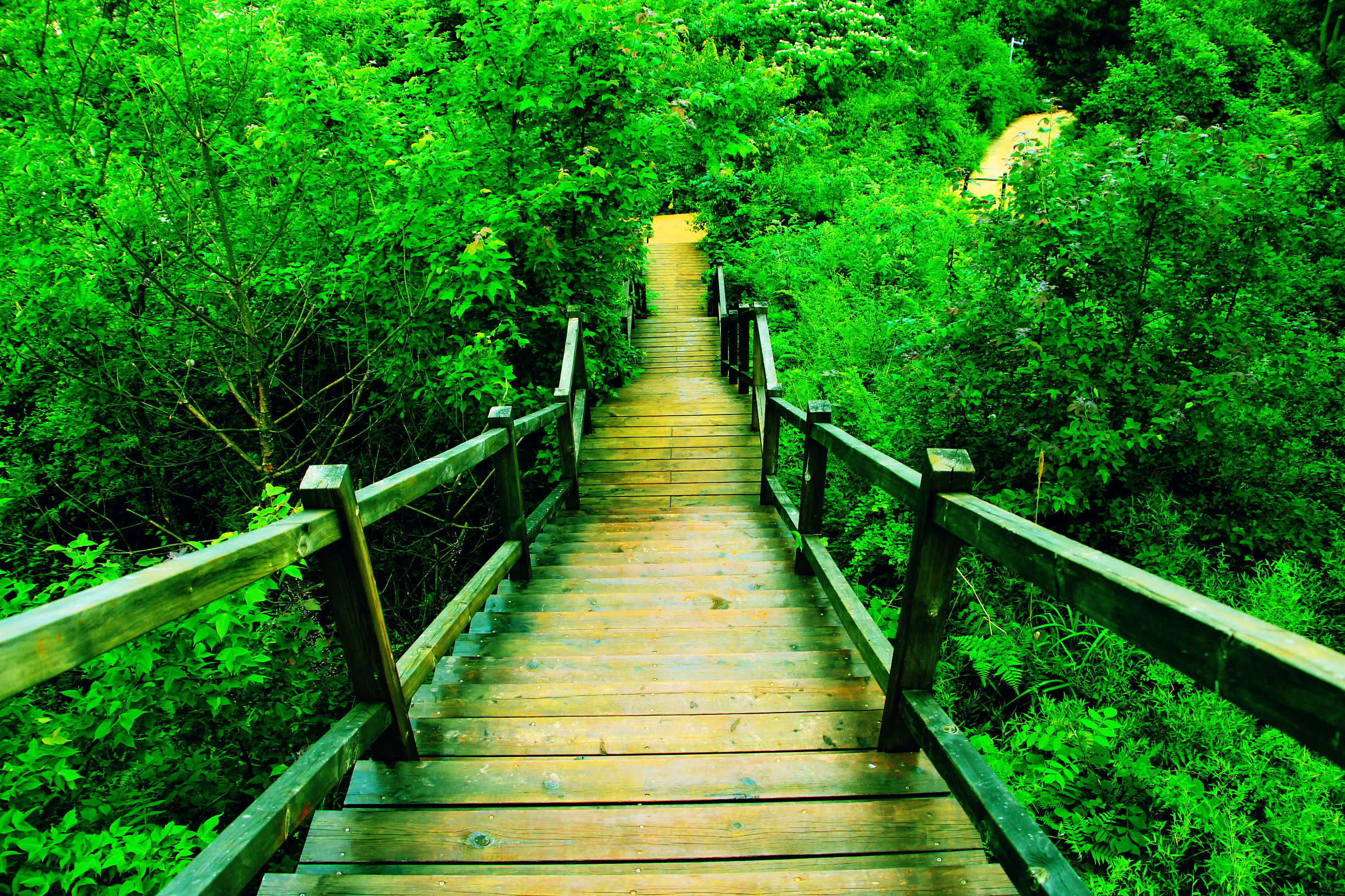 人间仙境东江湖,东江湖真的绝美