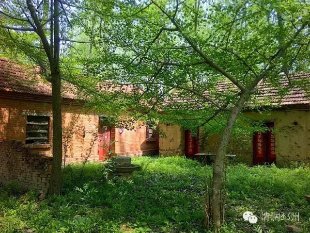 奔跑在路上看风景,奔跑着看风景视频