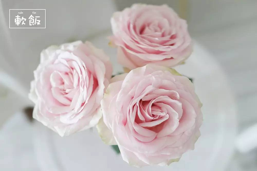 你一定会爱上的一家店,如果你有这样一间店铺你会喜欢吗