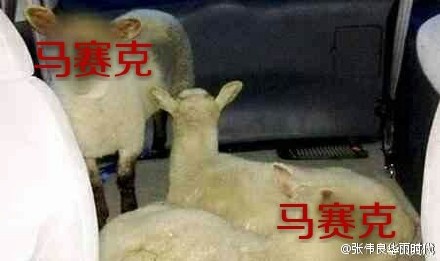 奇案再现存折里十万元离奇失踪,百元大钞从天而降是什么情况