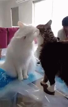 奇案再现存折里十万元离奇失踪,百元大钞从天而降是什么情况