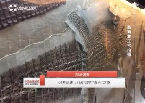 鳄鱼毒蛇、皇家珠宝,欢迎来到疯狂购物城!|独家