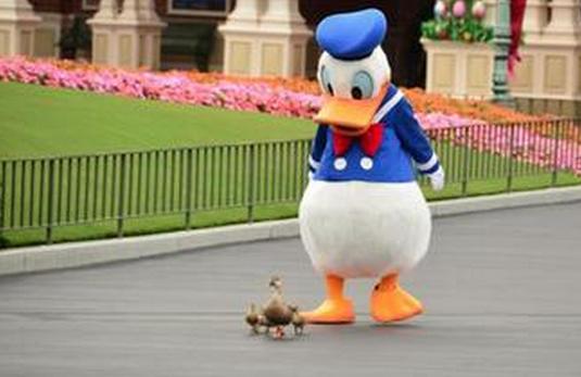 总是紧张怎么克服,总是紧张怎么调整心态