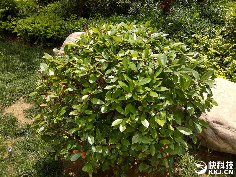 6.44寸黄金大屏！小米Max深度评测：续航惊人