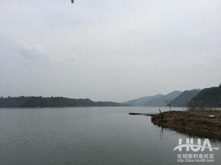 青龙湾附近野钓,株洲青龙湾野钓