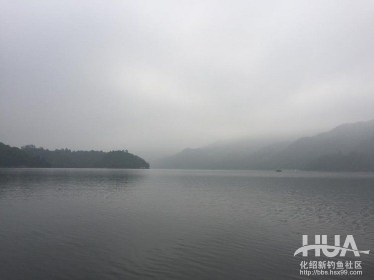 青龙湾附近野钓,株洲青龙湾野钓