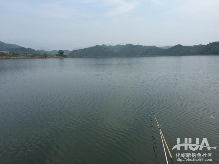 青龙湾附近野钓,株洲青龙湾野钓