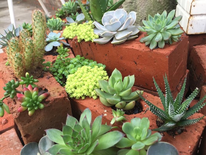 鼓浪屿自驾游全攻略,厦门鼓浪屿登岛全攻略