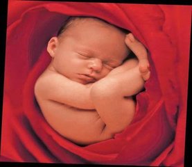 投胎是个技术活小说4,投胎是个技术活儿